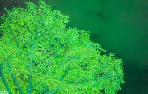 ざわめき - Yukihiro Sato