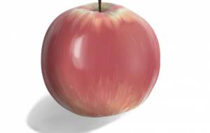 りんご - とも吉