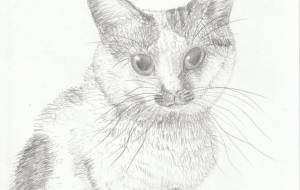 まるちゃんー2024年10月ー - 阿部貴志