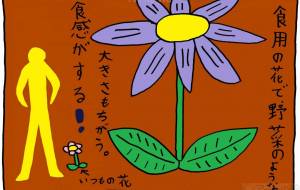 未来食 - 工房はんど yu-ma