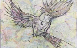 カラフルな鳥 - HIDE