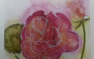 「純愛」 - サオリ