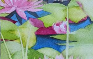 ハスをゆく - おゆみ