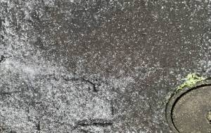 とうとう来た冬 - 笹谷正博