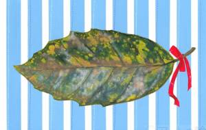 やすらぎリーフ - 【イベント】第2期 Just In Time Best Action「まごころプロジェクト」