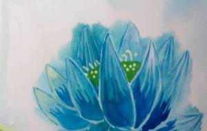 「清浄蓮花」 - サオリ