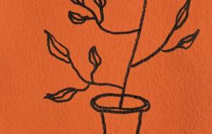 がじゅまる 6 - ミズノイヨ