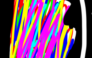 わたしはTOKTOKクリエイター - 笹谷正博