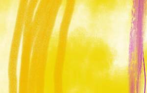 母が、買ってきてくれた、焼きいも。うまかった。 - 万煉(まれん)