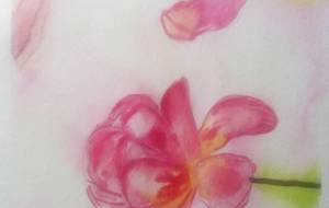 「木漏れ日…」 - サオリ