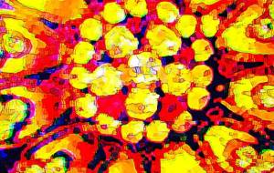 照らされて - ふたばりく