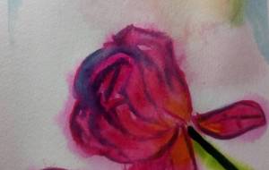 「少女の清らかさ」 - サオリ