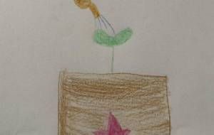 夢の種を育てよう - りんごーる