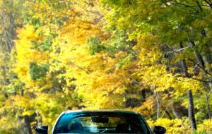 紅葉ツーリング - TA-BO-μ