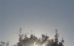 朝日を見て、僕は心から(幸せ) - 真鍋哲地