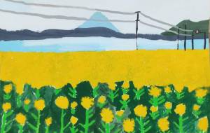 開聞岳と菜の花畑 - わかな