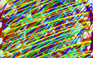 わたしはTikTok クリエーター - 笹谷正博