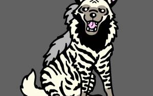 シマハイエナ - シマハイエナ