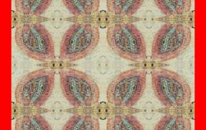 Smile◎Tomato◎ - しょも