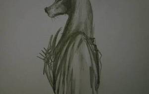 アヌビス神(手描き) - 真鍋哲地