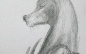 アヌビス神 - 真鍋哲地