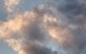 モンスターデザイン、最近の僕の作品どのような命、例え醜い生物でも尊いと言いいたいと思いました - 真鍋哲地