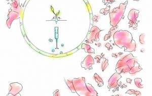 自然の循環 - 星灯