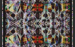 〖風〗 - しょも