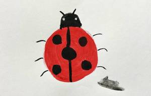 てんとう虫 - 高橋望