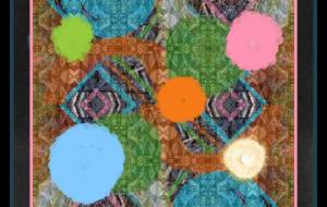 ○ポンポン○ - しょも