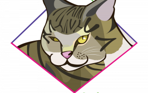 ステルスにゃんこ - スクリーム