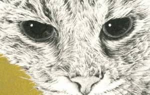 起きた - 山田貴裕