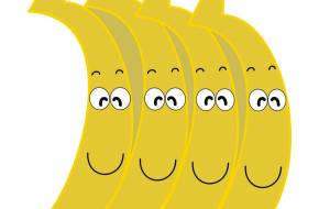 バナナ兄弟君 - アクター