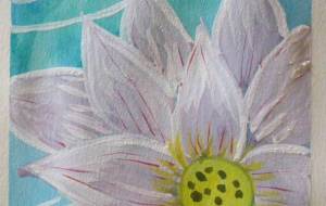 「水月太陽界」 - サオリ