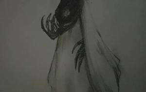 阿寒湖ファッションモデルの白鳥レディー - 真鍋哲地