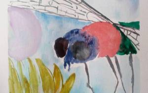 「蜻蛉と記憶と魂の奥底に」 - サオリ