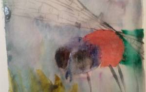 「日本の厳しさと深い愛情に」 - サオリ