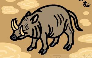 セレベスバビルサ - シマハイエナ