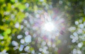 木漏れ陽 - Yukihiro Sato