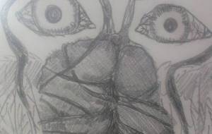 「New Beginning」 - サオリ