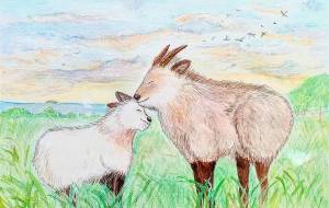 ニホンカモシカの親子 - 【イベント】第2期 Just In Time Best Action「まごころプロジェクト」