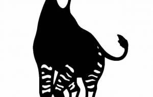 オカピ - シマハイエナ