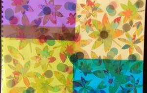 夢想もみじ 6 - 明紅葉