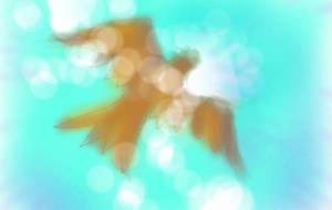 鷹 揚々 - おかず