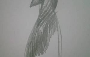 我が名はレイブン多様性神 - 真鍋哲地