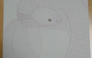 来年の干支 蛇 - angel