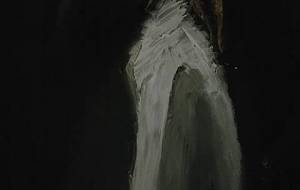 ハサミ虫多様性女帝!我が名は愛絶体五億 - 真鍋哲地