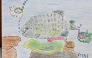 コブダイさんから幸せを - Yoshi
