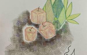 花と果実と布と - 絵言葉