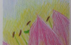 「まどろみのあの優しい思い出に。」 - サオリ